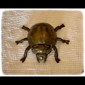 1960’s Mid-Century Modern Ladybug.